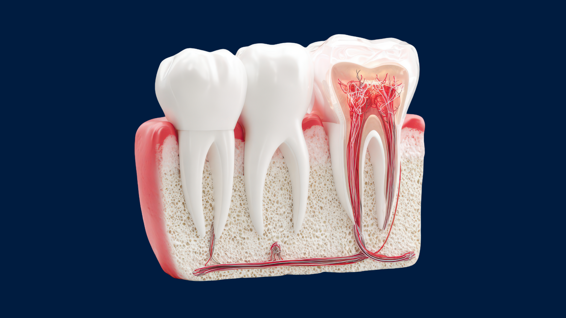 Copy of Clinical Guides PDF Download (5)